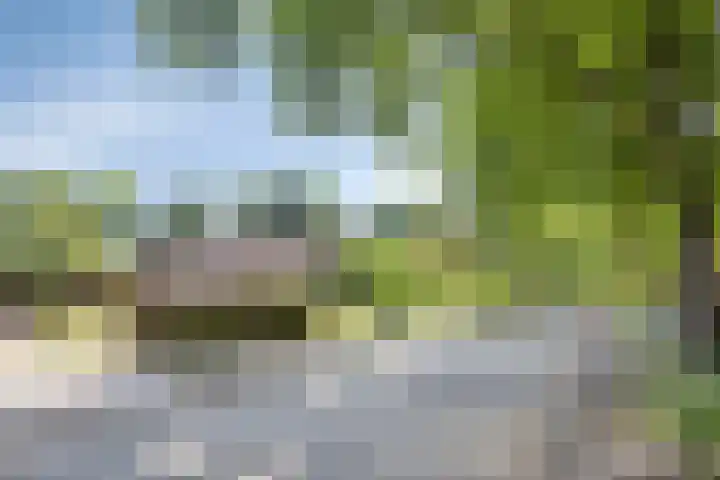 Iepenlaan 21 Zuidlaren thumbnail 41