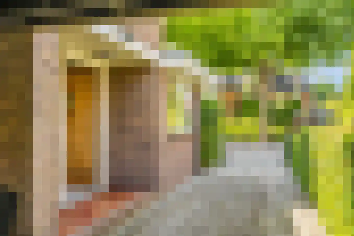 Iepenlaan 22 Bloemendaal thumbnail 36