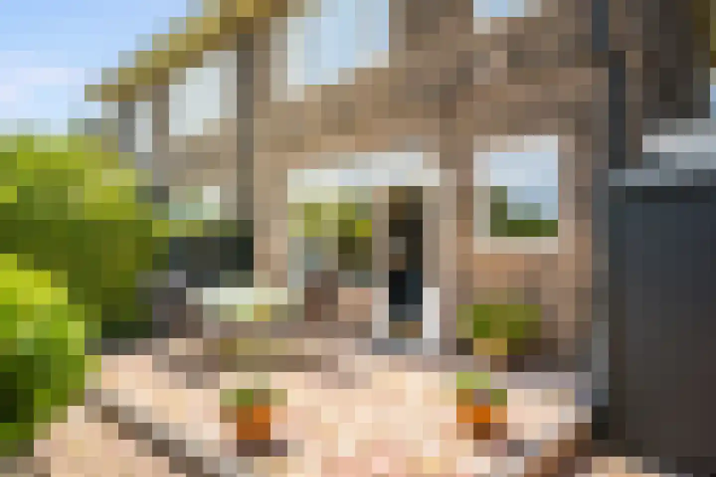 Iepenlaan 22 Bloemendaal thumbnail 40