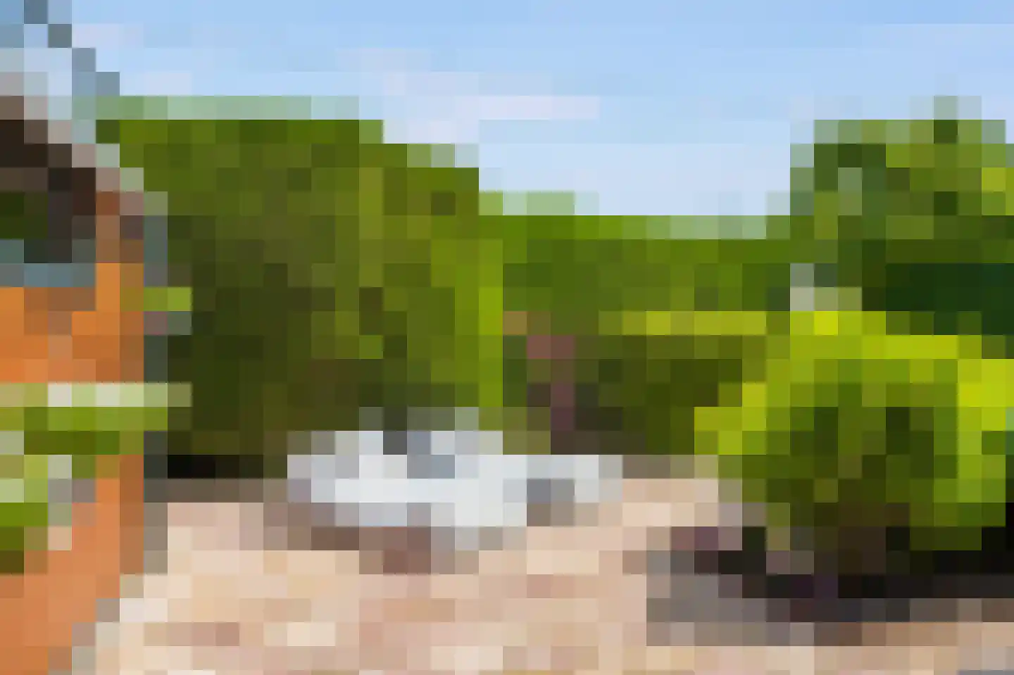 Iepenlaan 22 Bloemendaal thumbnail 42