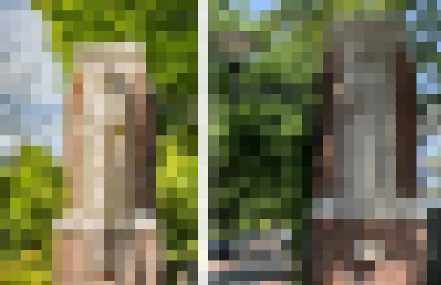 Iepenlaan 22 Bloemendaal thumbnail 46
