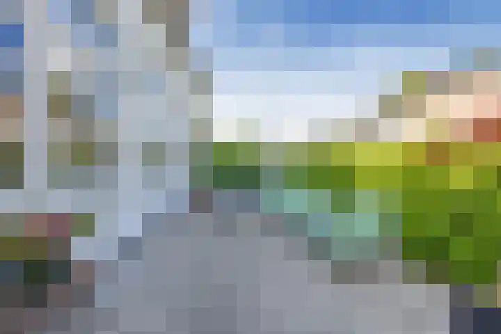 Iepenlaan 22 Bussum thumbnail 10