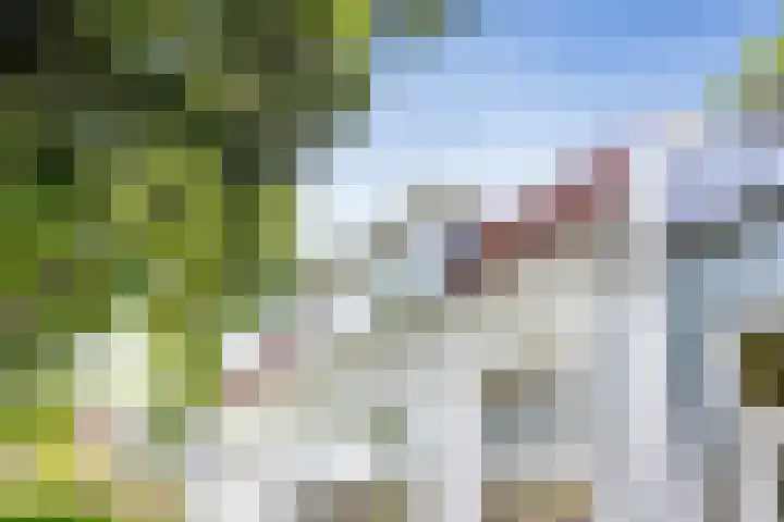 Iepenlaan 22 Bussum thumbnail 11