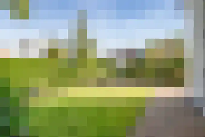 Iepenlaan 22 Bussum thumbnail 12