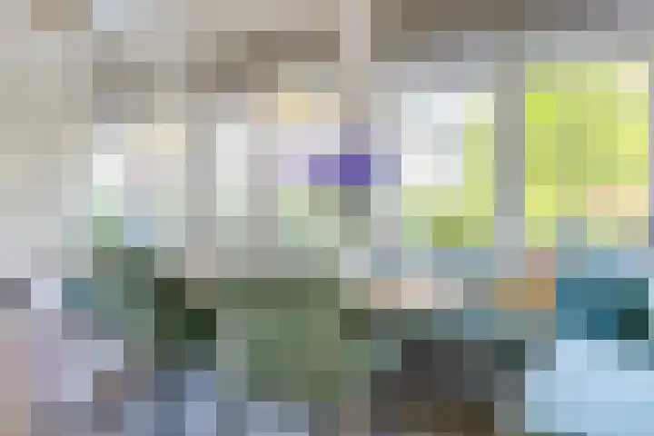 Iepenlaan 22 Bussum thumbnail 16