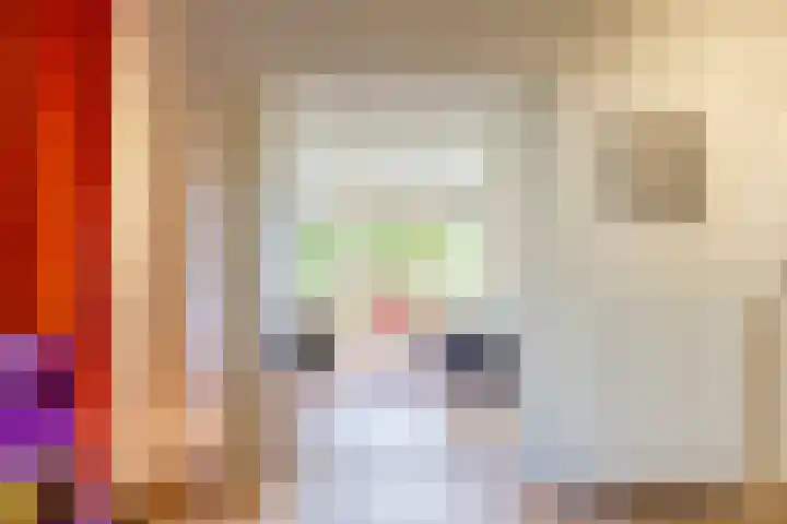 Iepenlaan 22 Bussum thumbnail 27