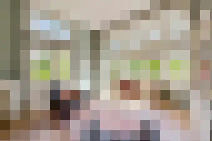Iepenlaan 22 Bussum thumbnail 29