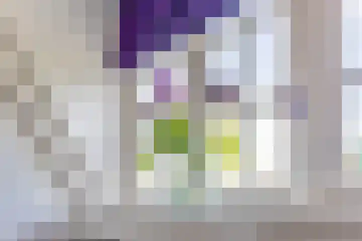 Iepenlaan 22 Bussum thumbnail 37