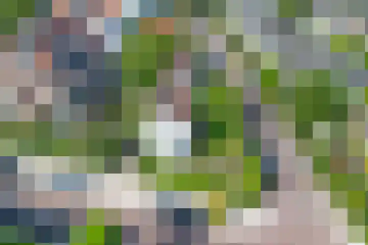 Iepenlaan 22 Bussum thumbnail 4