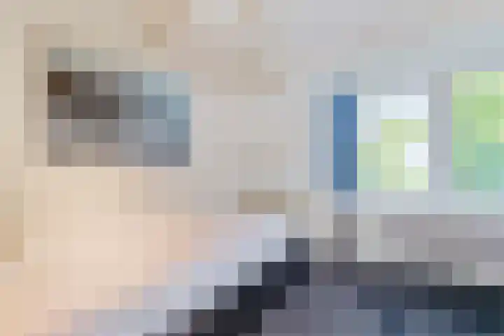 Iepenlaan 22 Bussum thumbnail 45