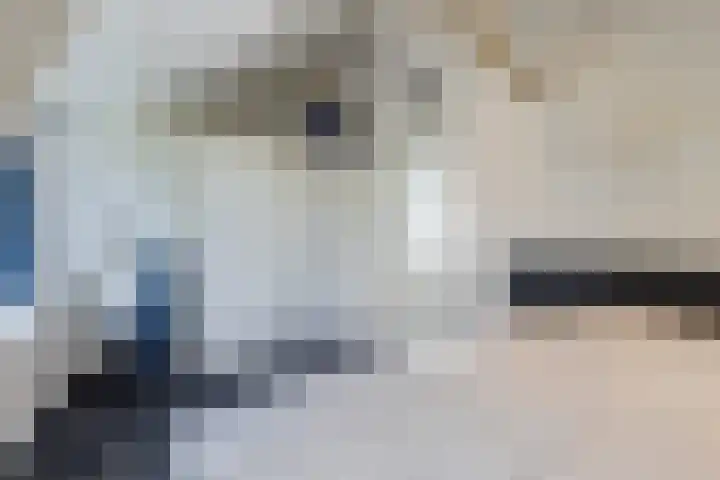 Iepenlaan 22 Bussum thumbnail 47