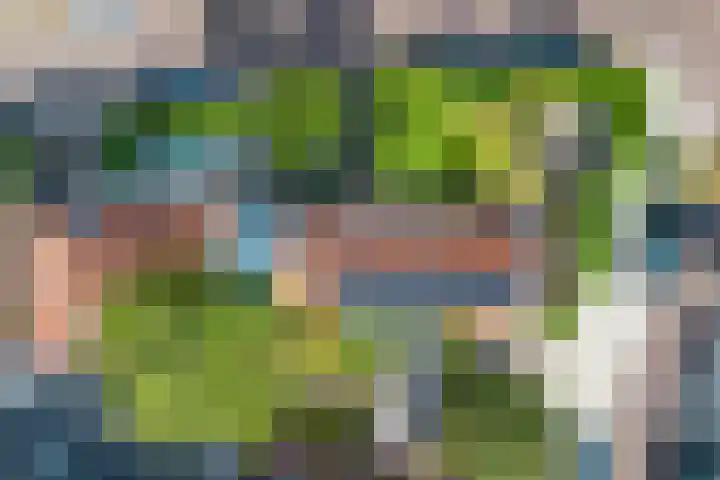 Iepenlaan 22 Bussum thumbnail 5
