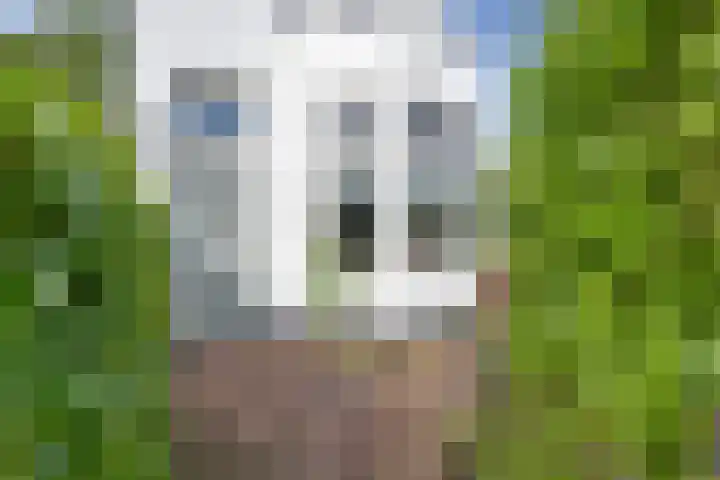 Iepenlaan 22 Bussum thumbnail 8