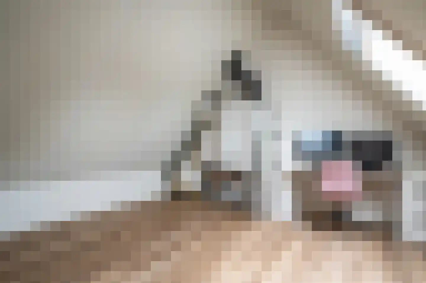 Iepenlaan 22 Rouveen thumbnail 26