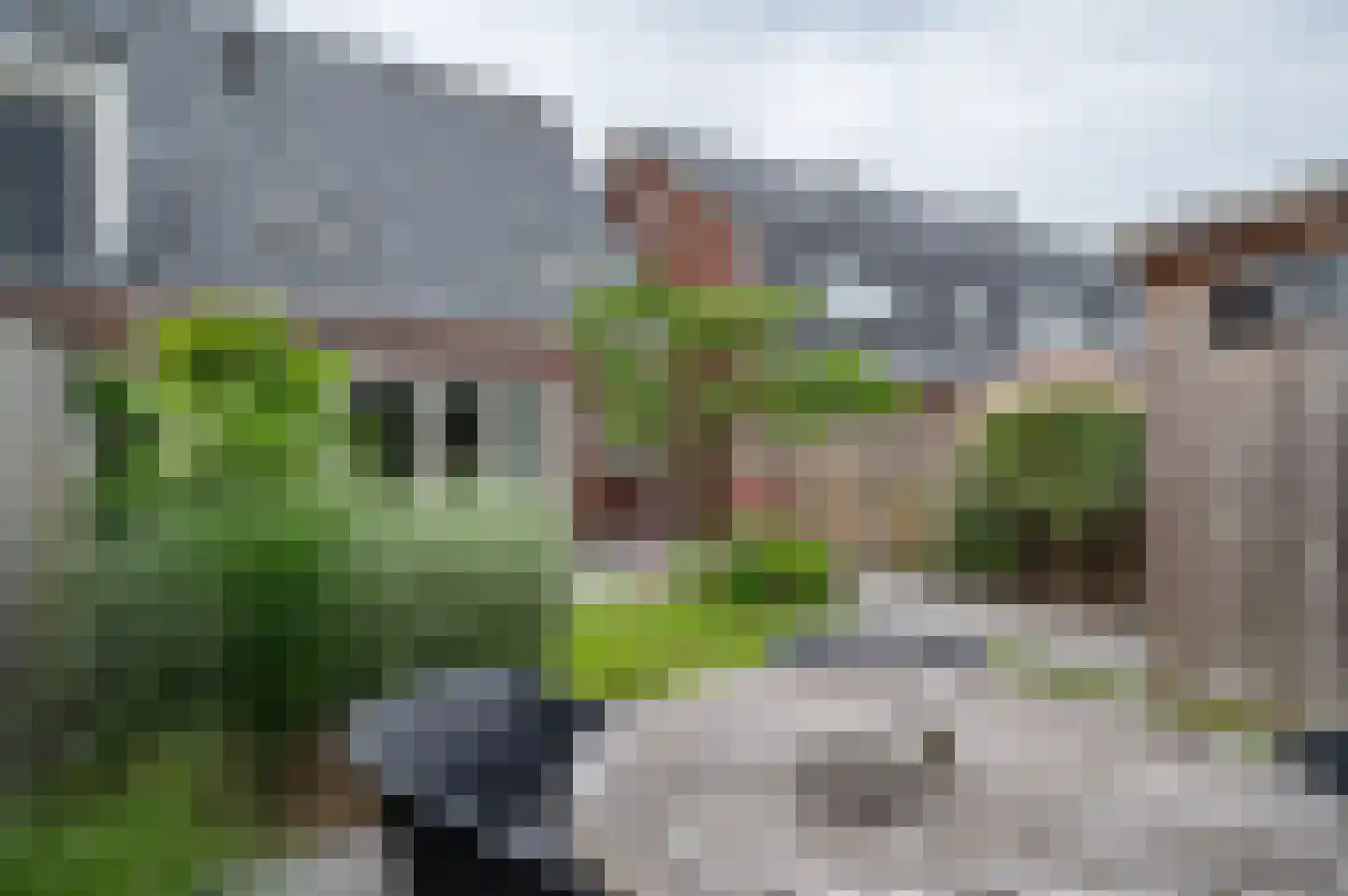Iepenlaan 22 Rouveen thumbnail 31
