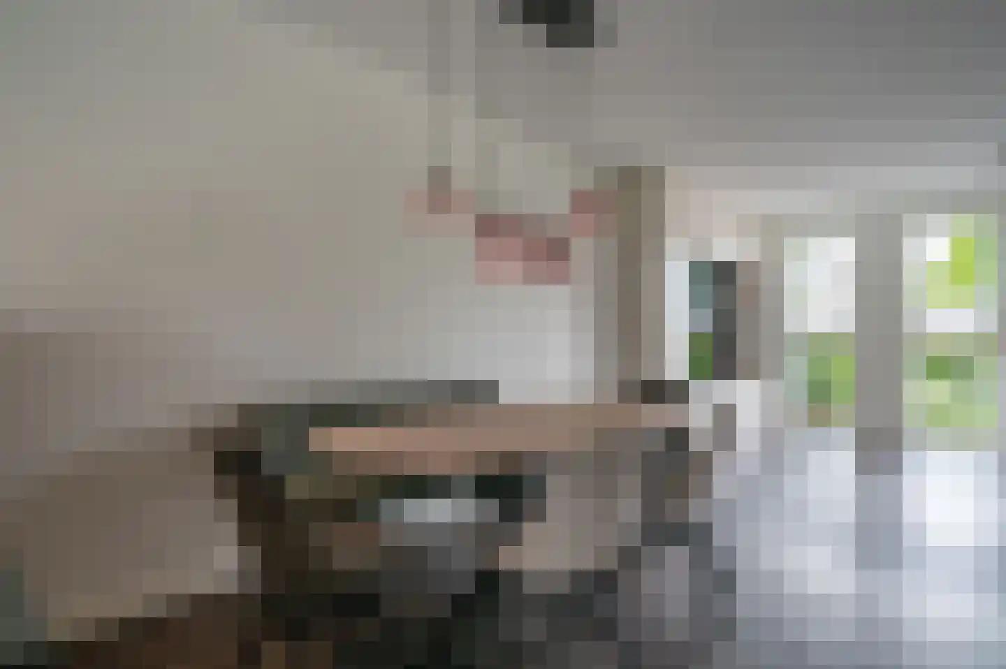 Iepenlaan 22 Rouveen thumbnail 9