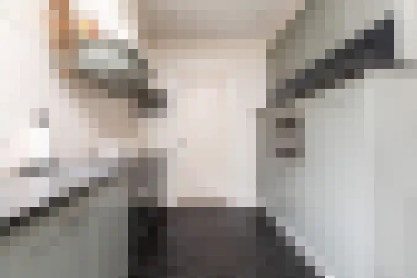 Iepenlaan 23 Sneek thumbnail 12