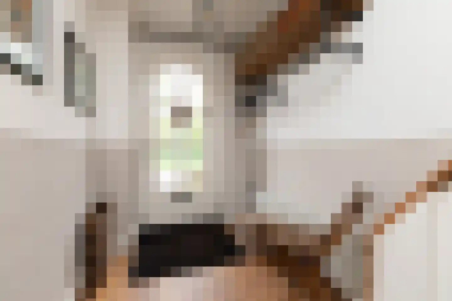 Iepenlaan 23 Sneek thumbnail 17