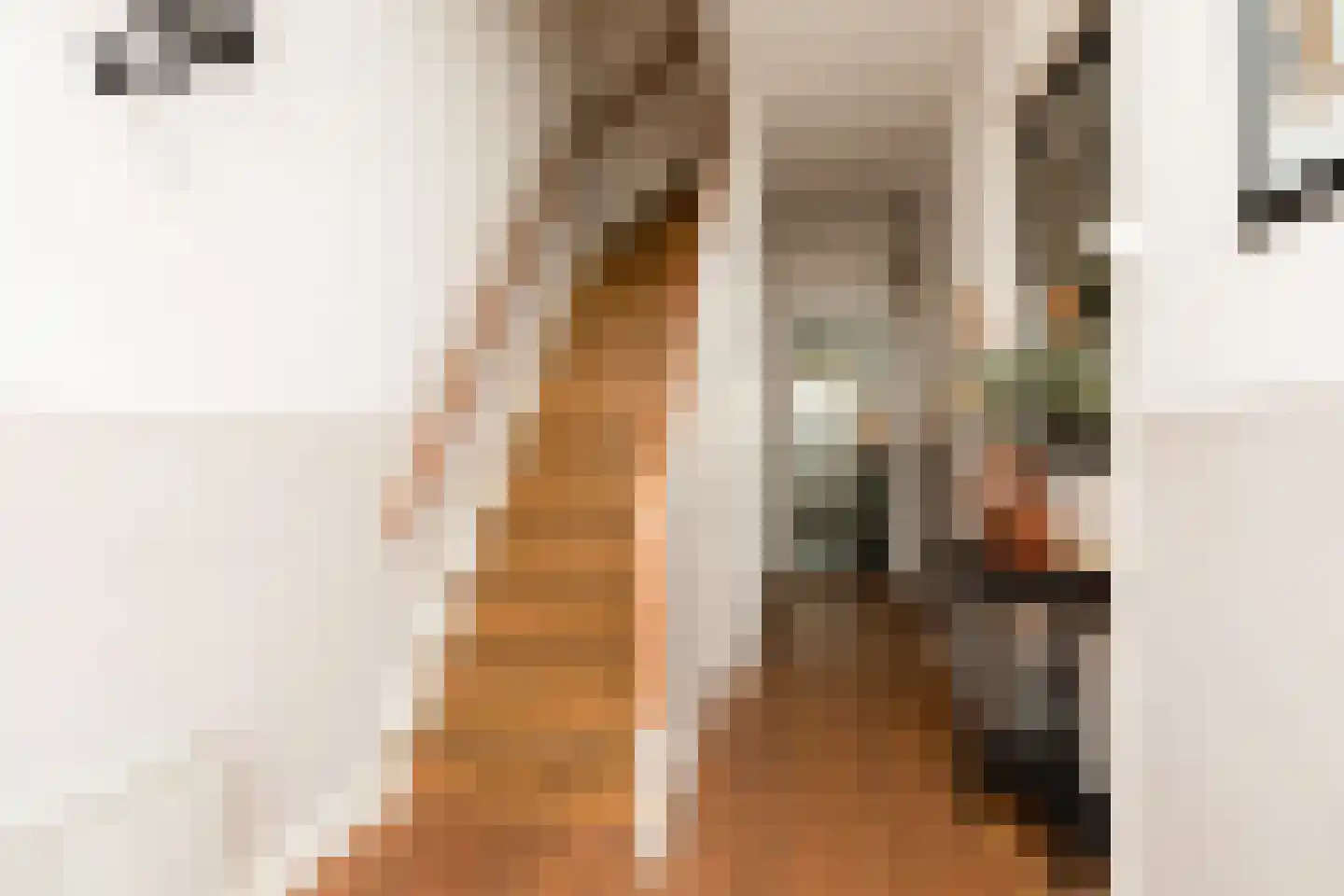 Iepenlaan 23 Sneek thumbnail 18