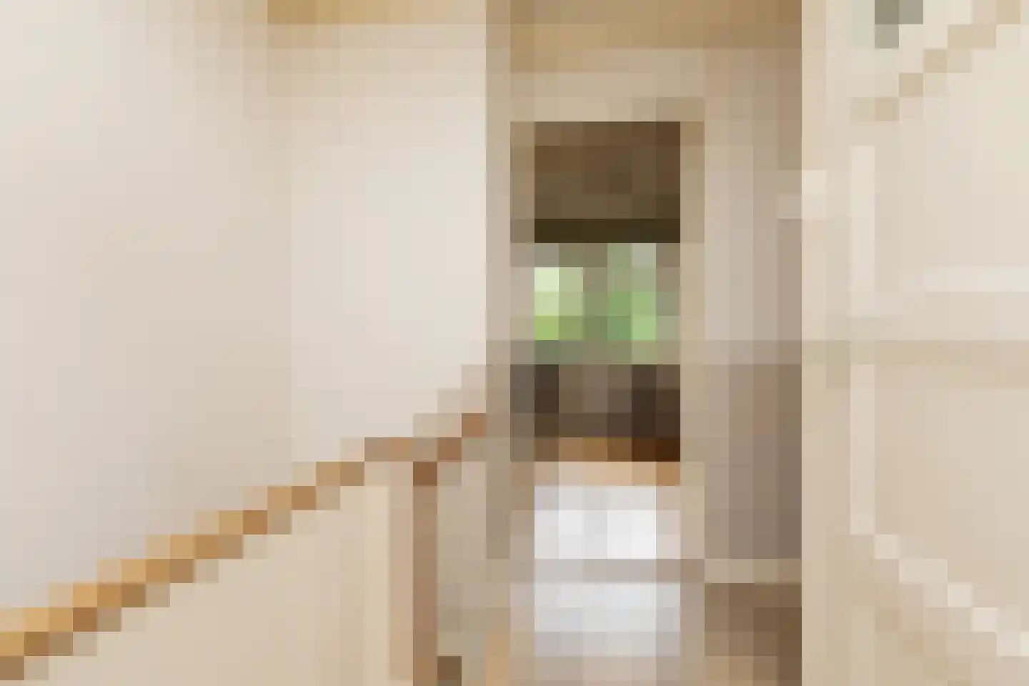 Iepenlaan 23 Sneek thumbnail 19