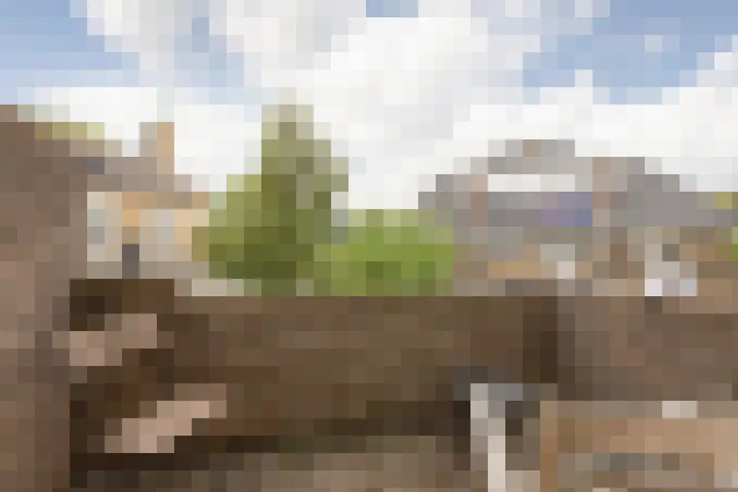 Iepenlaan 23 Sneek thumbnail 21