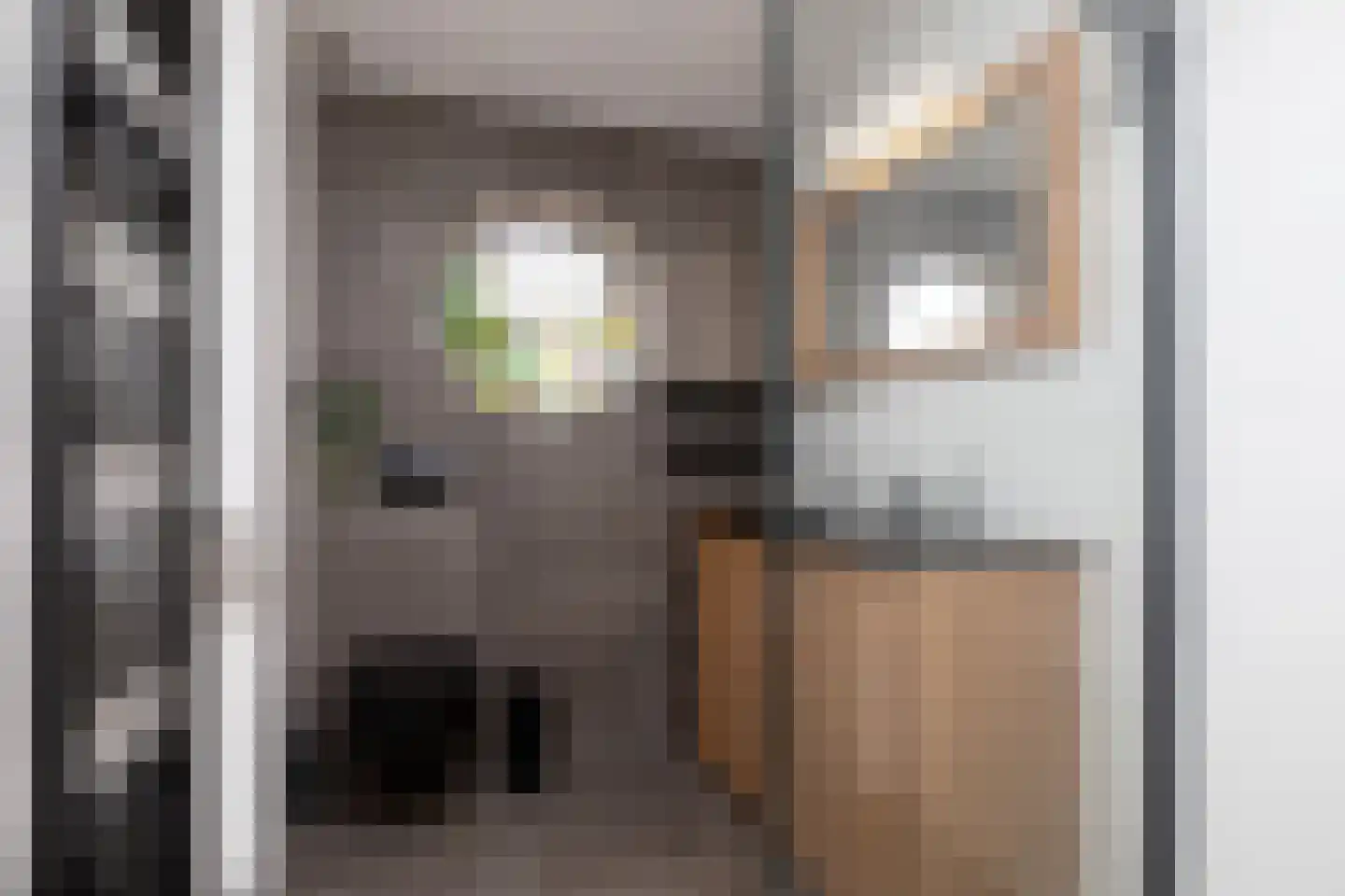 Iepenlaan 23 Sneek thumbnail 28