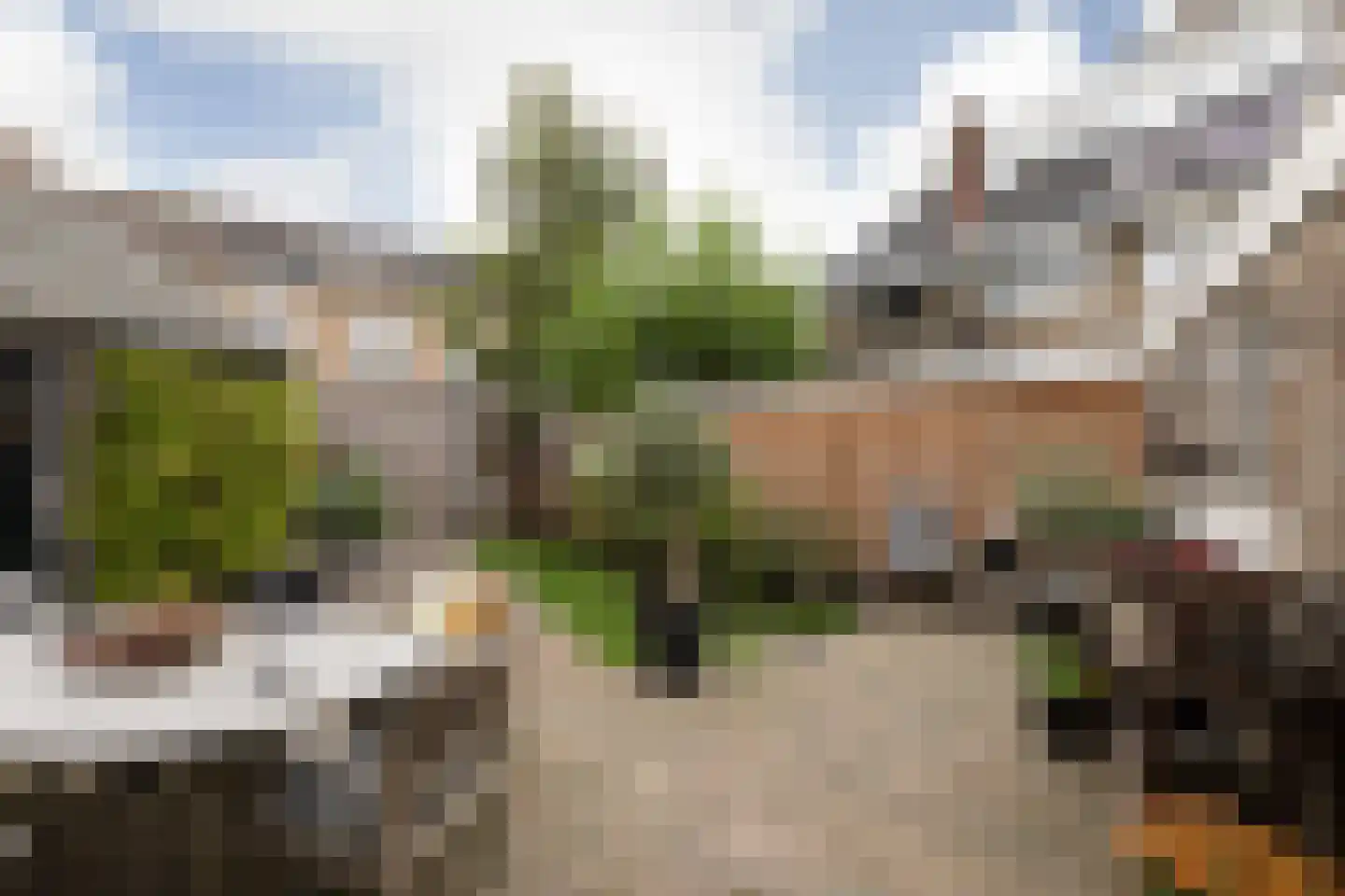 Iepenlaan 23 Sneek thumbnail 41