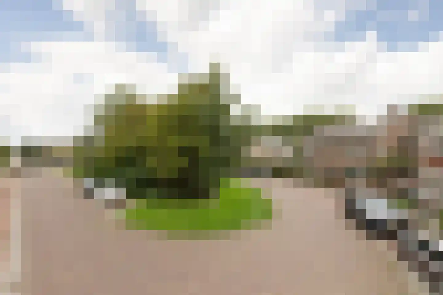 Iepenlaan 23 Sneek thumbnail 49