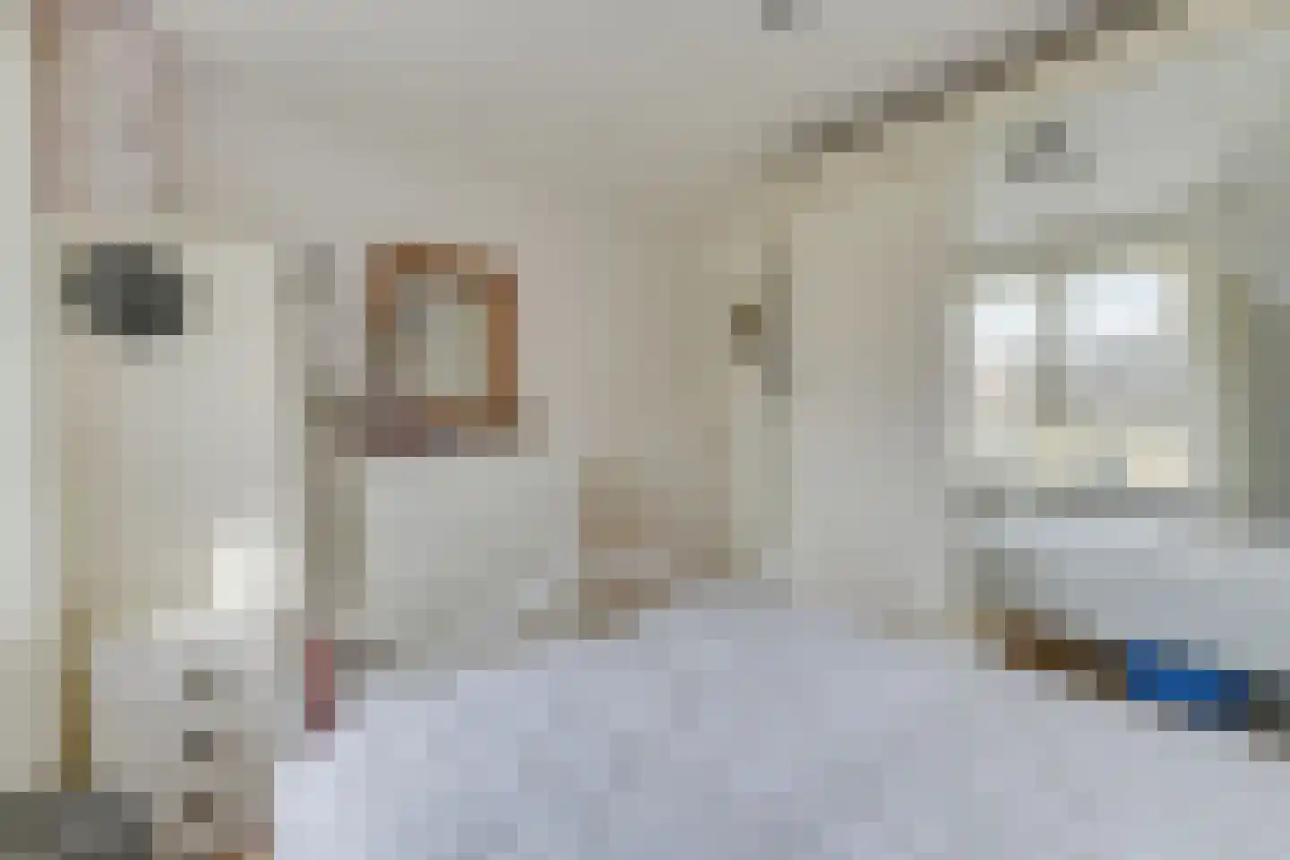 Iepenlaan 23 Wieringerwaard thumbnail 29