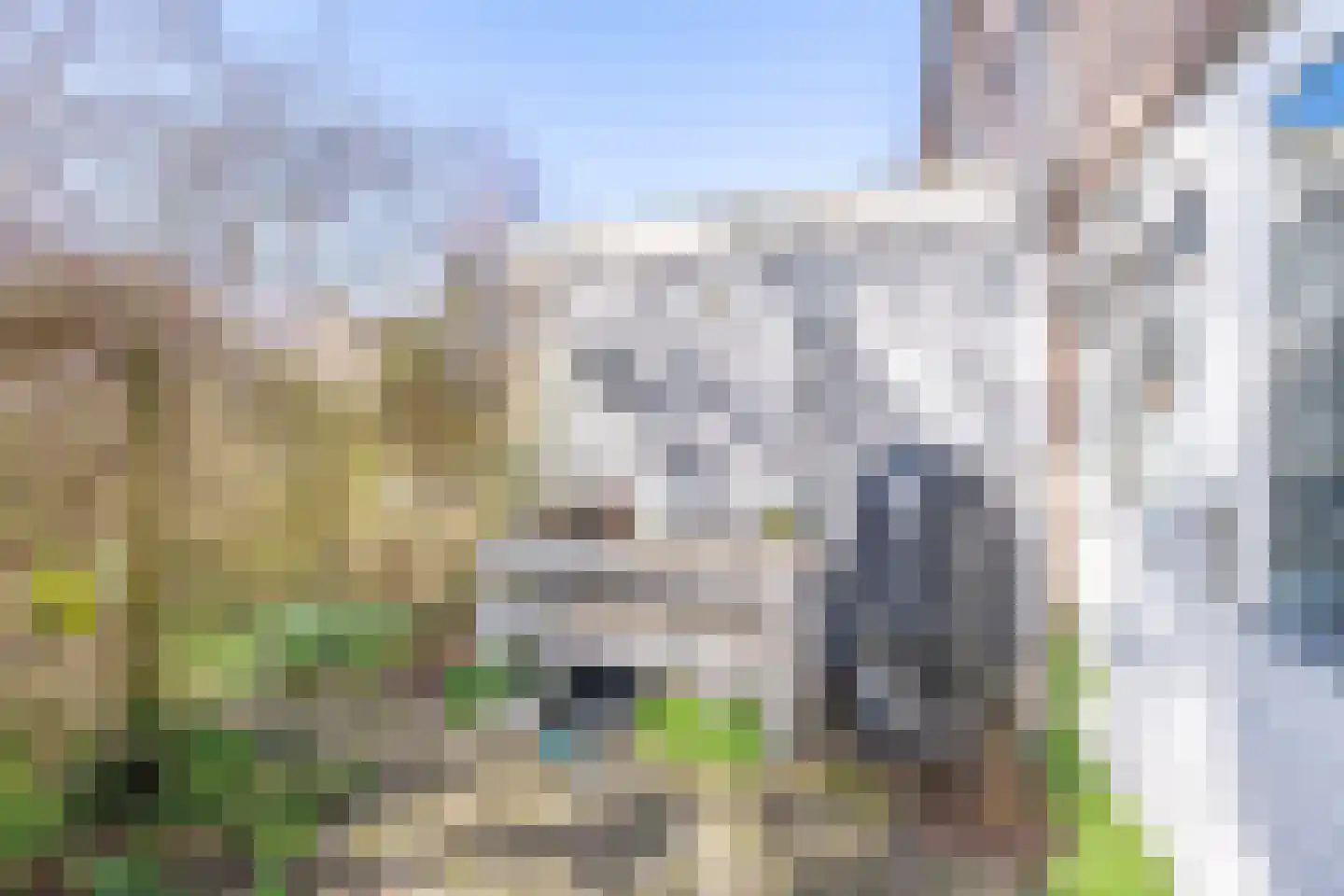 Iepenlaan 23 Wieringerwaard thumbnail 31