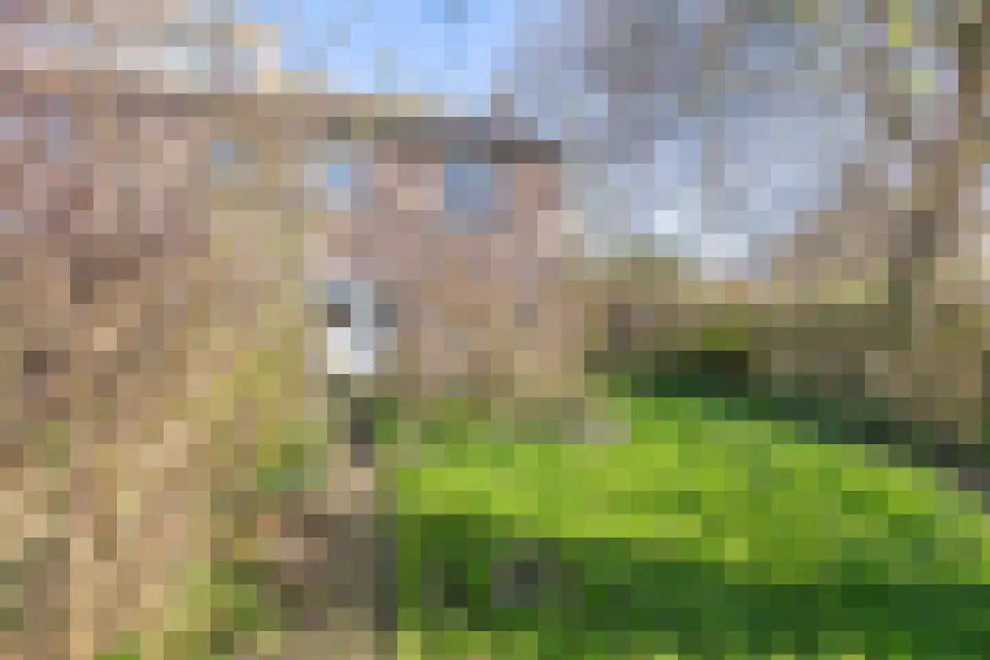 Iepenlaan 23 Wieringerwaard thumbnail 32