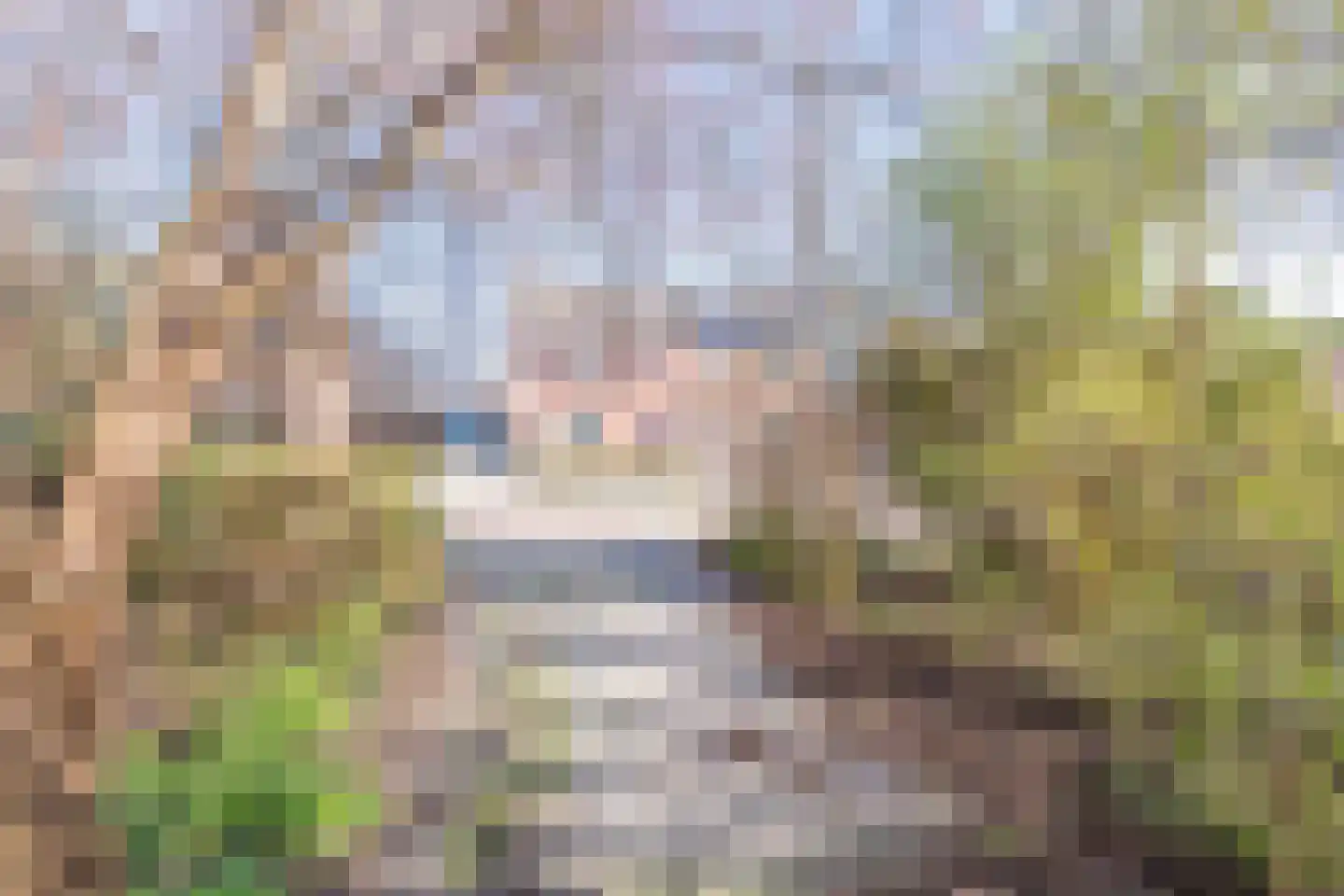 Iepenlaan 23 Wieringerwaard thumbnail 34