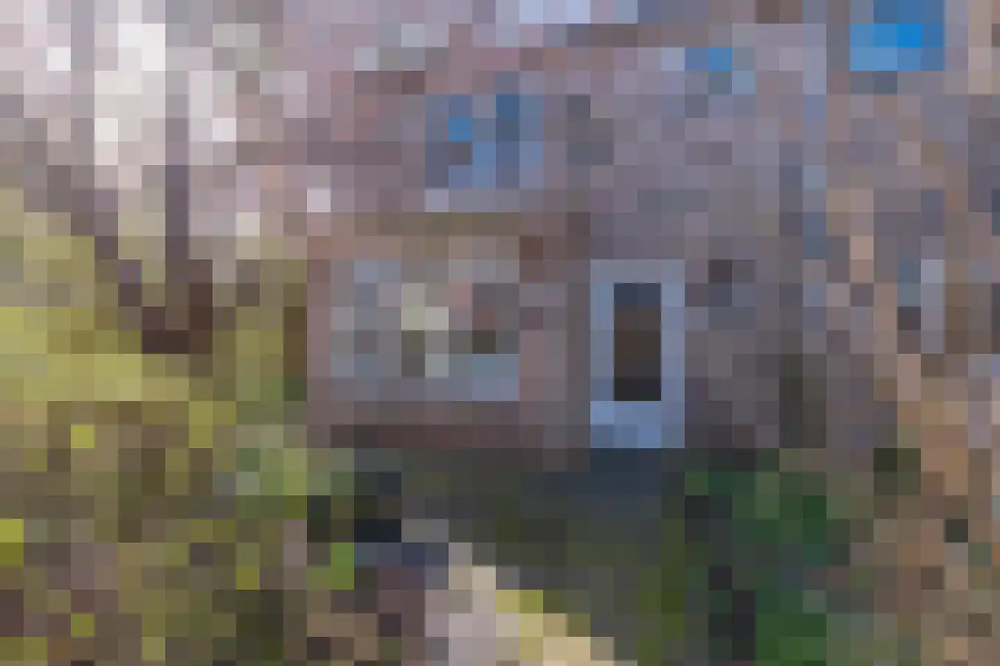 Iepenlaan 23 Wieringerwaard thumbnail 35