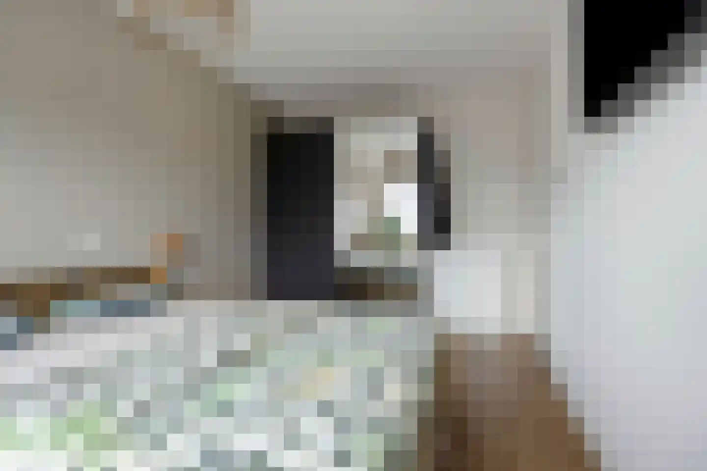 Iepenlaan 24 a Rouveen thumbnail 18