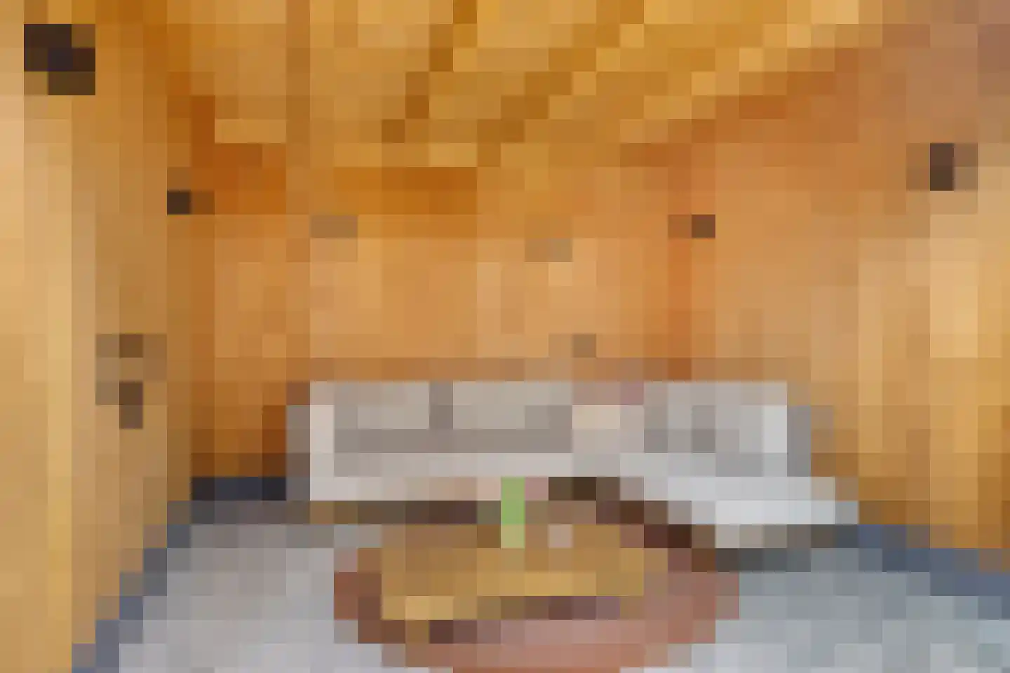 Iepenlaan 24 a Rouveen thumbnail 30
