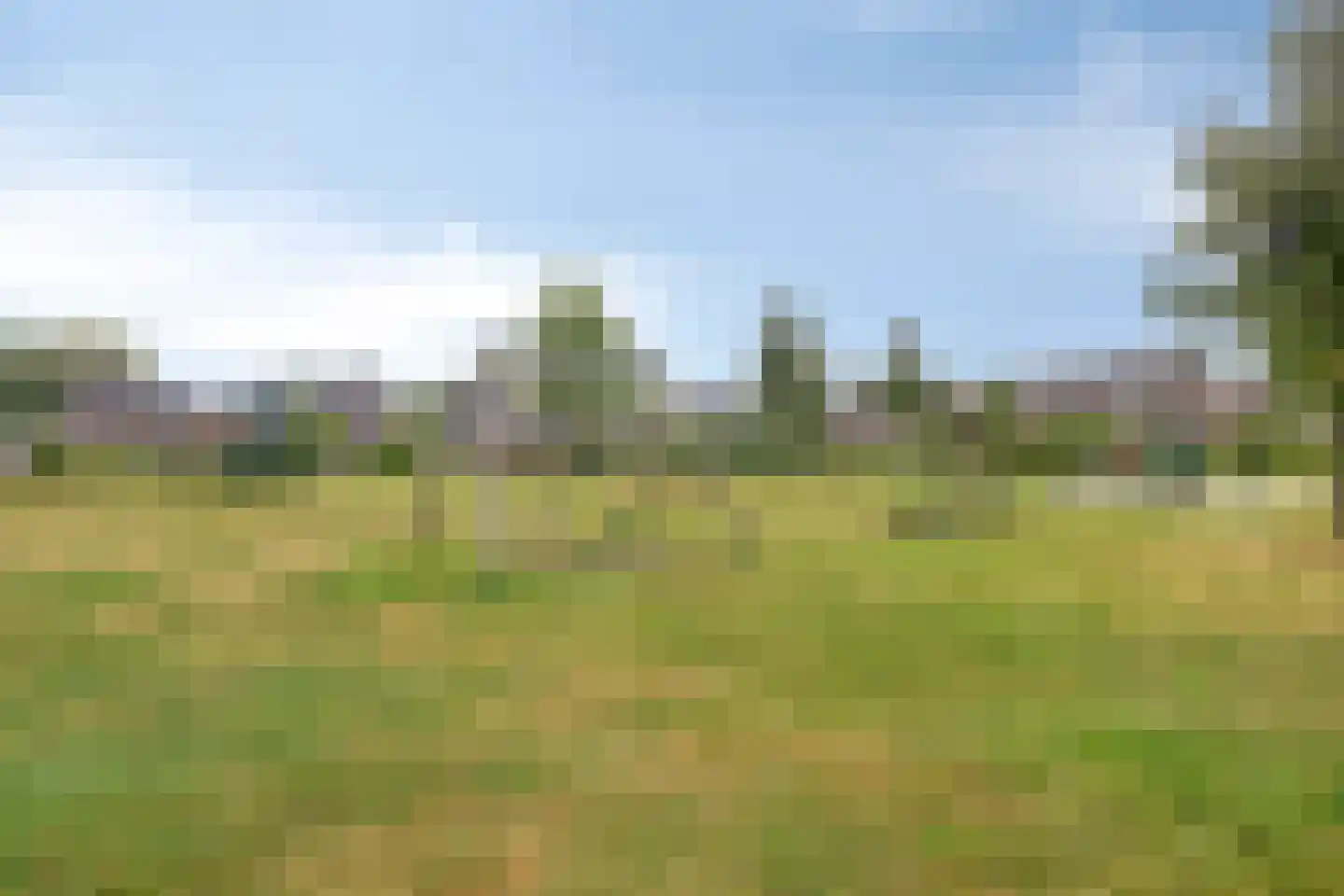 Iepenlaan 24 a Rouveen thumbnail 41