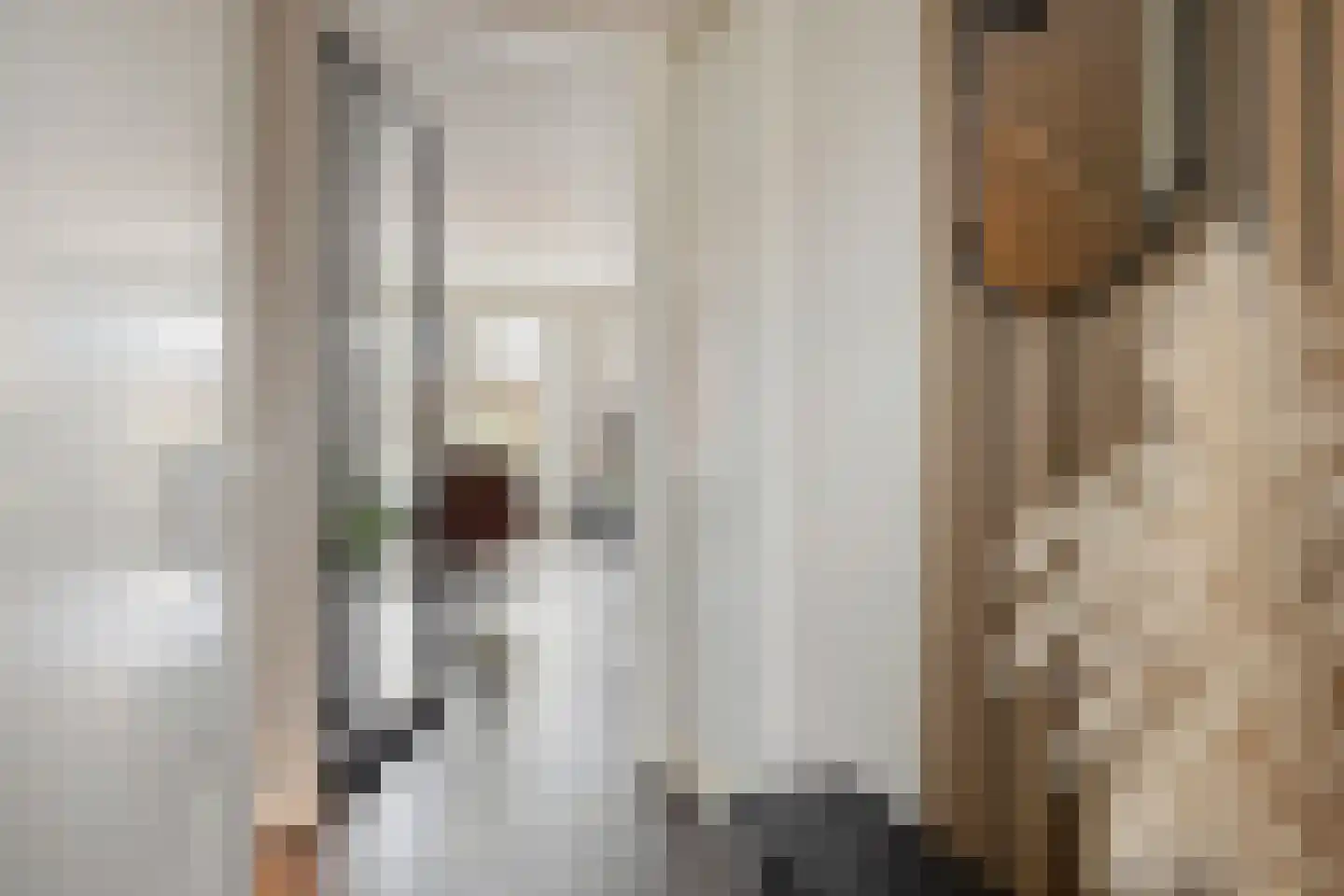Iepenlaan 24 a Rouveen thumbnail 5