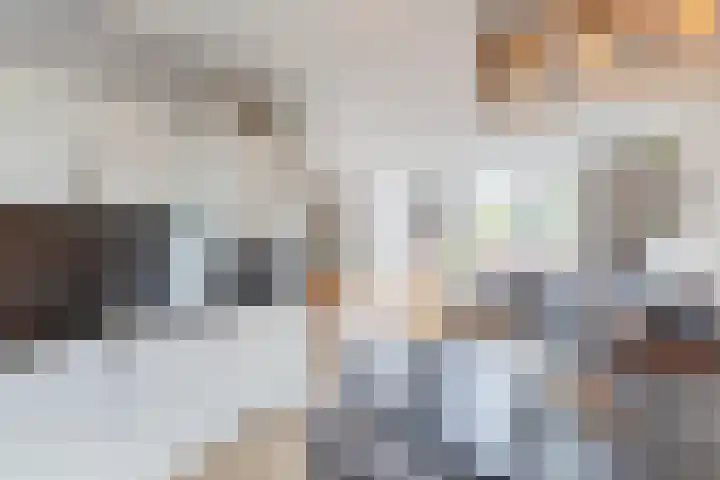 Iepenlaan 24 Halsteren thumbnail 14
