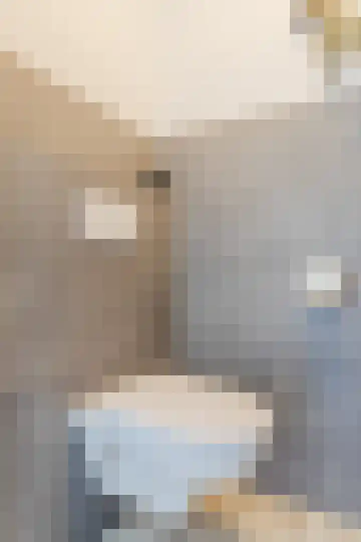 Iepenlaan 24 Halsteren thumbnail 17