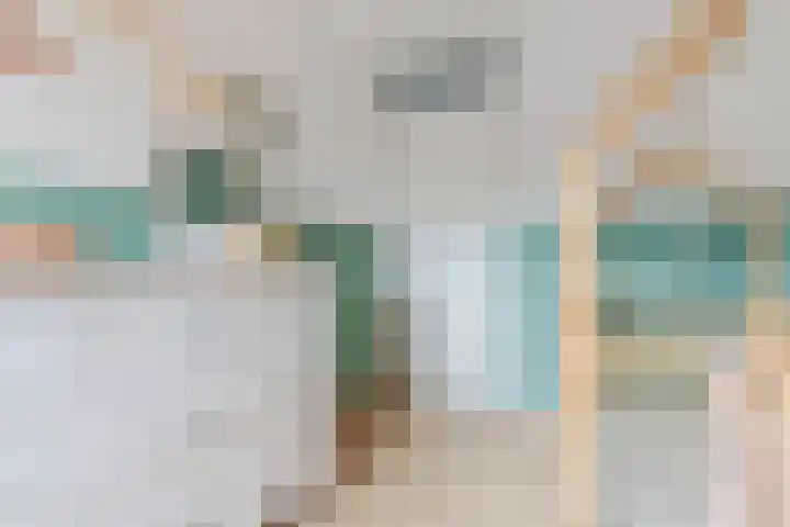 Iepenlaan 24 Halsteren thumbnail 24