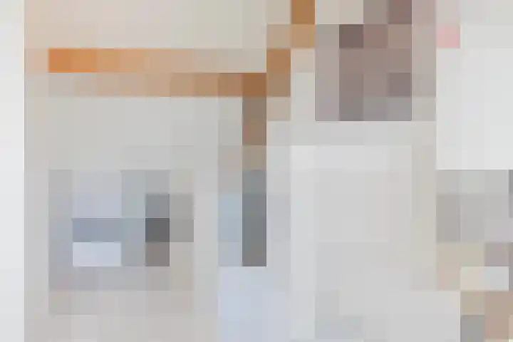 Iepenlaan 24 Halsteren thumbnail 33