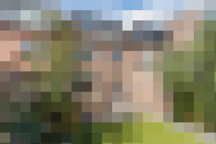 Iepenlaan 24 Halsteren thumbnail 37