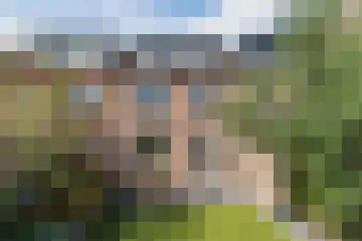 Iepenlaan 24 Halsteren thumbnail 38
