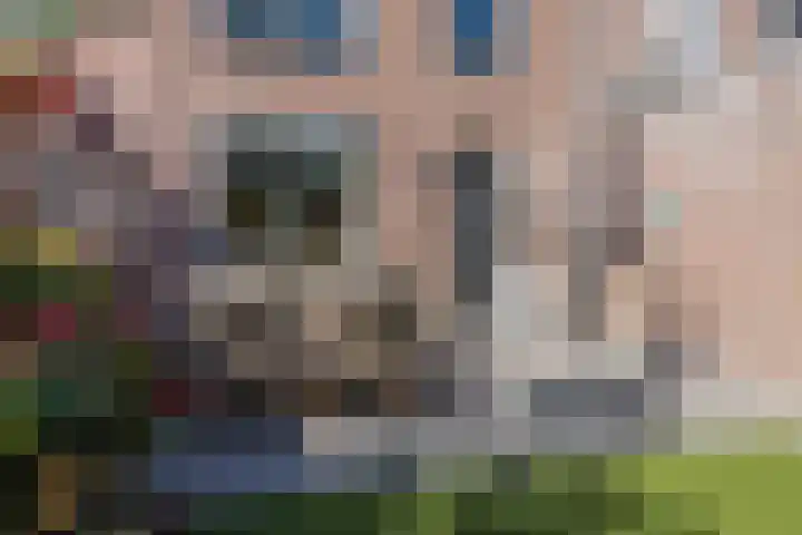 Iepenlaan 24 Halsteren thumbnail 39