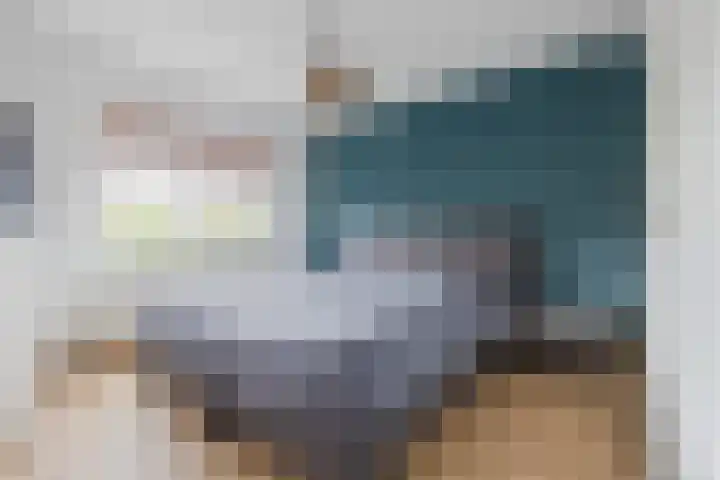 Iepenlaan 24 Halsteren thumbnail 4