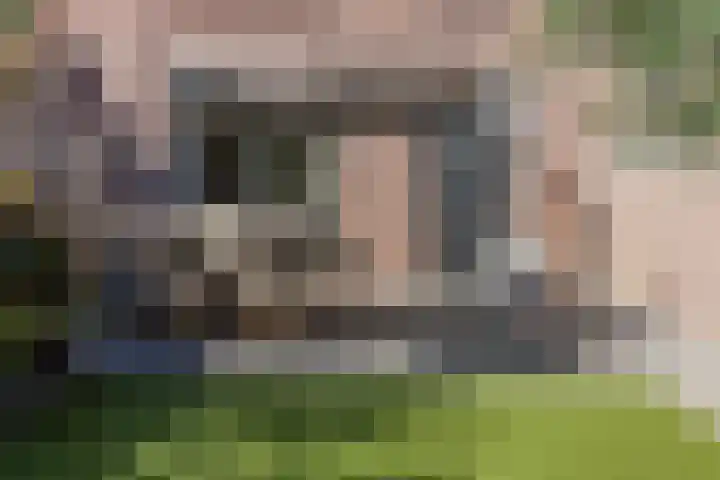 Iepenlaan 24 Halsteren thumbnail 40