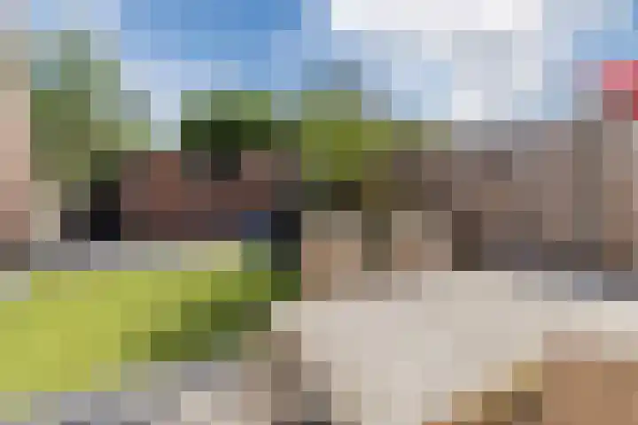 Iepenlaan 24 Halsteren thumbnail 41