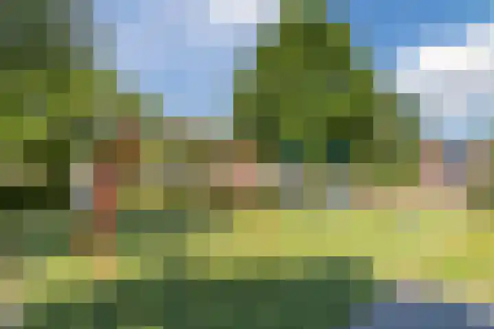 Iepenlaan 24 Halsteren thumbnail 43