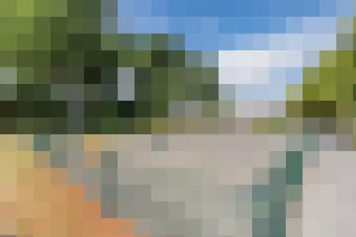 Iepenlaan 24 Halsteren thumbnail 44