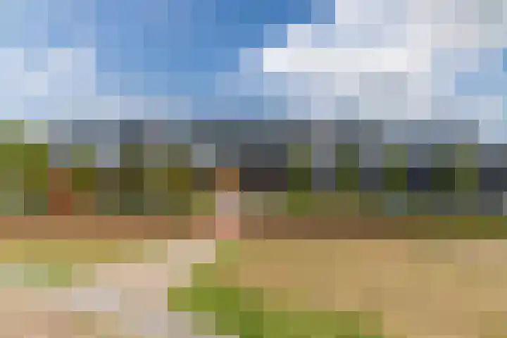 Iepenlaan 24 Halsteren thumbnail 45